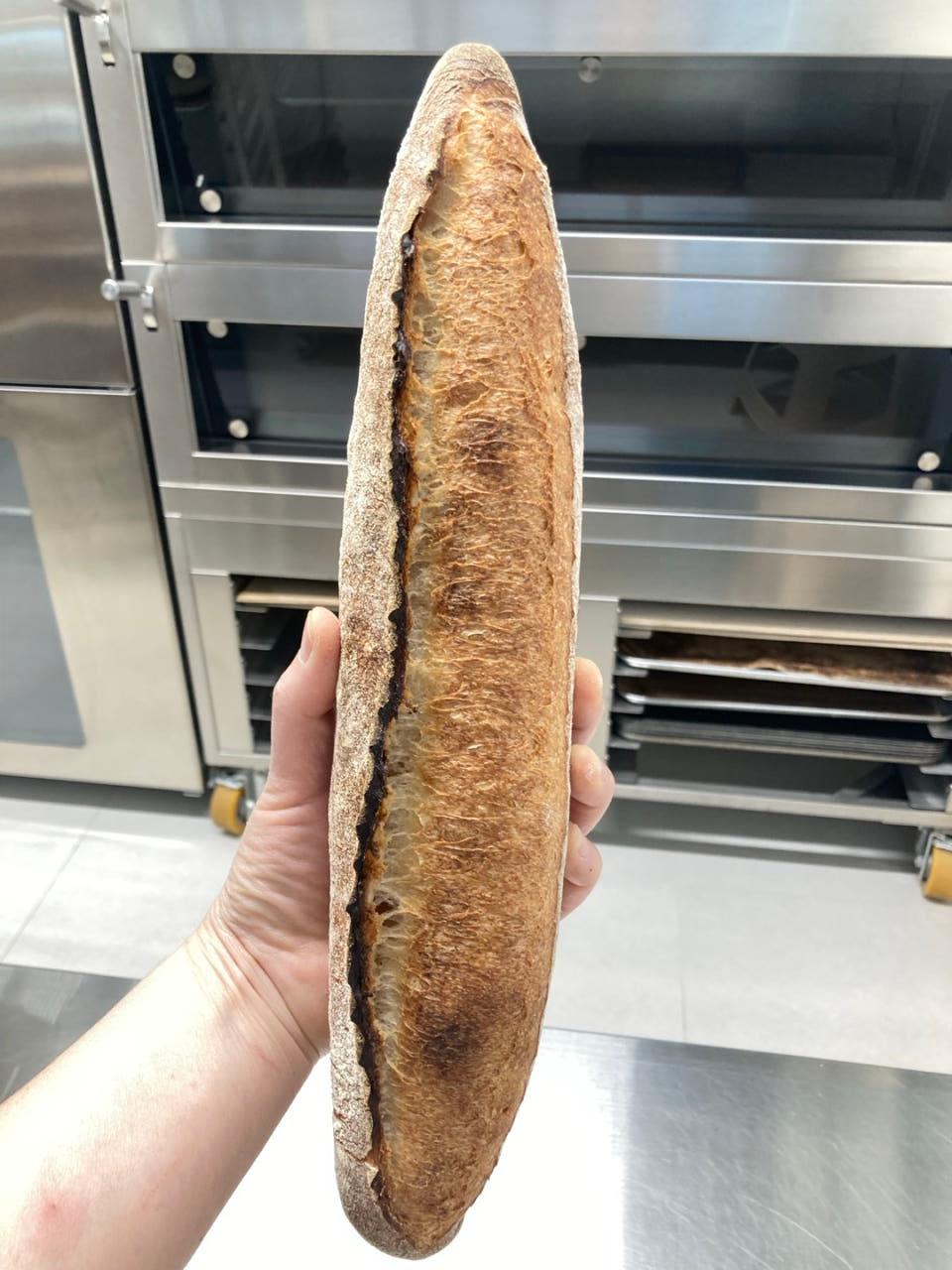 손에 든 플레인 바게트